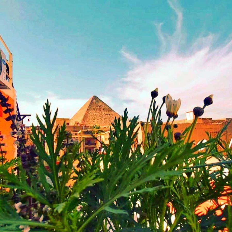 Carpet Alaadein Pyramids View Hotel Kafrat al Jabal Exterior foto