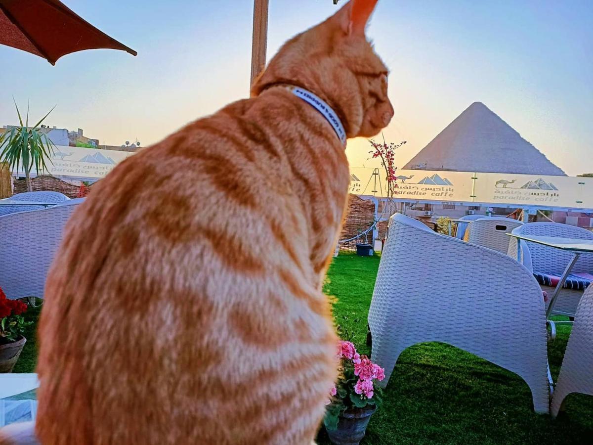 Carpet Alaadein Pyramids View Hotel Kafrat al Jabal Exterior foto